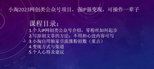 小淘2023网创类公众号项目，强IP强变现，可操作一辈子-吾爱自习网