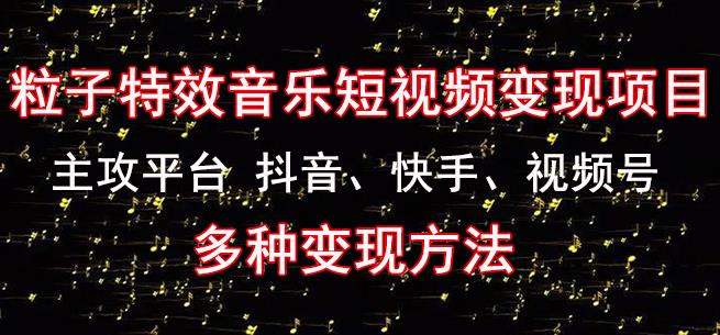 黄岛主《粒子特效音乐短视频变现项目》主攻平台抖音、快手、视频号多种变现方法-吾爱自习网