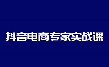 抖音电商专家实战课，你上你也行-人人能做的卖货达人插图