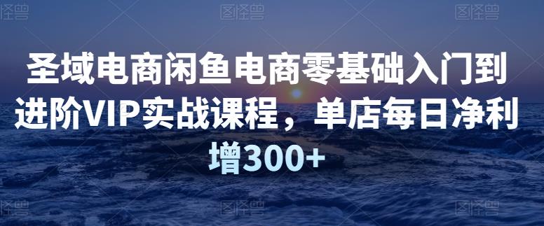 圣域电商闲鱼电商零基础入门到进阶VIP实战课程，单店每日净利增300+插图