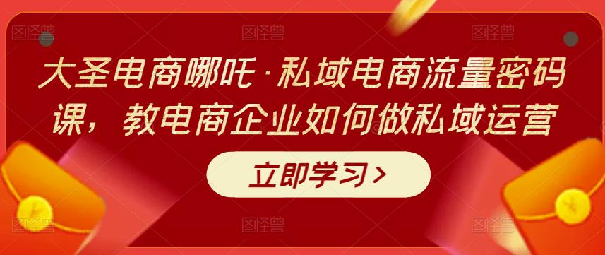 大圣电商哪吒·私域电商流量密码课，教电商企业如何做私域运营插图