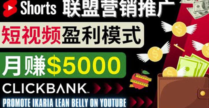 通过Youtube Shorts推广联盟营销商品，月赚5000美元方法和技巧插图