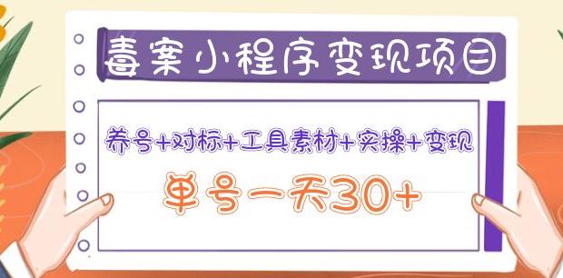 森罗万项毒案小程序变现项目：养号+对标+工具素材+实操+变现，单号一天30+-吾爱自习网