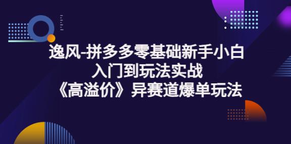 逸风-拼多多零基础新手小白入门到玩法实战《高溢价》异赛道爆单玩法实操课-吾爱自习网