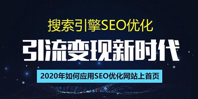 SEO搜索引擎优化总监实战VIP课堂【透析2020最新案例】快速实现年新30w(第9期)