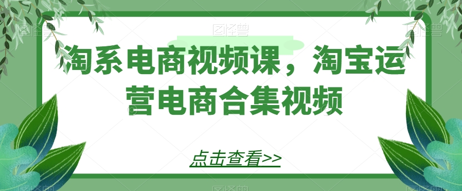 淘系电商视频课，淘宝运营电商合集视频-吾爱自习网