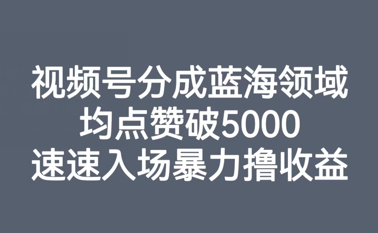 视频号分成蓝海领域，均点赞破5000，速速入场暴力撸收益-吾爱自习网