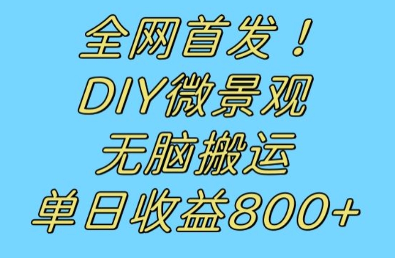 全网首发冷门赛道！DIY微景观，无脑搬运视频，日收益800+【揭秘】插图