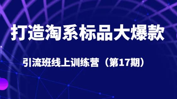 打造淘系标品大爆款引流班线上训练营（第17期）5天直播授课-吾爱自习网