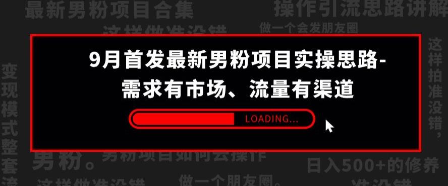 9月首发最新男粉项目实操思路-需求有市场，流量有渠道【揭秘】