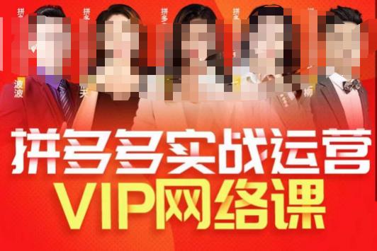 推易拼多多VIP全套直播课程，拼多多店铺实操玩法+实战玩法选款内功+直通车高阶等-吾爱自习网