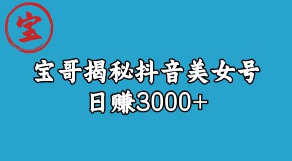 宝哥揭秘抖音美女号玩法，日赚3000+【揭秘】-吾爱自习网