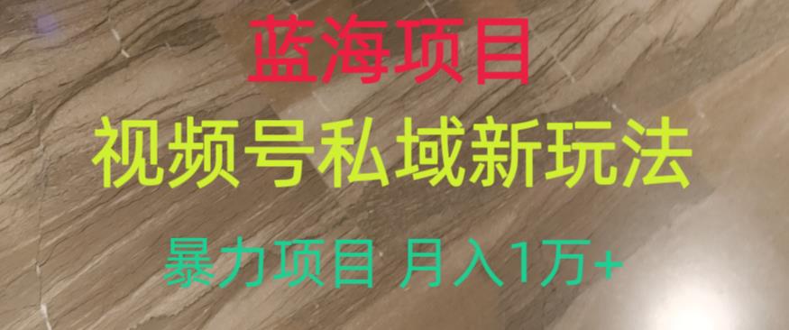 蓝海项目，视频号私域新玩法，暴力项目月入1万+【揭秘】-吾爱自习网