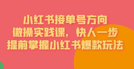 接单号方向·小红书微操实践课，快人一步，提前掌握小红书爆款玩法-吾爱自习网