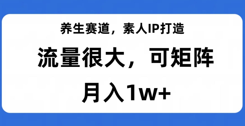 养生赛道，素人IP打造，流量很大，可矩阵，月入1w+【揭秘】-吾爱自习网