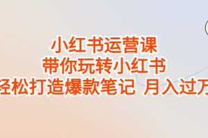 （6921期）小红书运营课，带你玩转小红书，轻松打造爆款笔记  月入过万