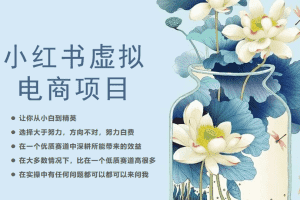 （6607期）小红书虚拟电商从0到1，让你从小白到精英（20节实操课程）