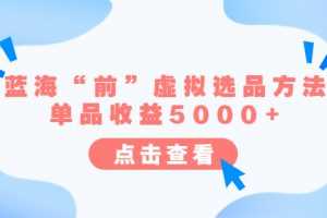 （6500期）某公众号付费文章《蓝海“前”虚拟选品方法：单品收益5000+》