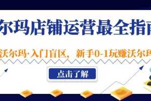 （5072期）沃尔玛店铺·运营最全指南，挖掘·沃尔玛·入门盲区，新手0-1玩赚沃尔玛