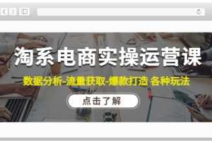 （4463期）淘系电商实操运营课：数据分析-流量获取-爆款打造 各种玩法（63节）