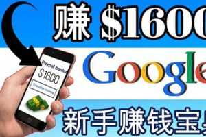 （3660期）零成本通过Google复制粘贴来简单赚取收益，几分钟赚1600美元