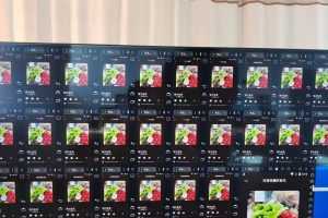 （3216期）外面卖3500的音乐人挂机群控防F脚本 支持腾讯/网易云/抖音 号称100%防F