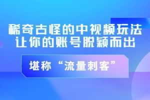 （3159期）稀奇古怪的中视频玩法，让你的账号脱颖而出，堪称“流量刺客”（图文+视频)