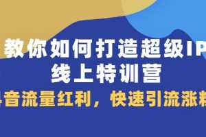 （2093期）教你如何打造超级IP线上特训营，抖音流量红利，快速引流涨粉