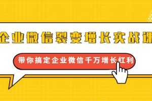 （1649期）企业微信裂变增长实战课：带你搞定企业微信千万增长红利，新流量-新玩法