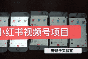 （1566期）野路子小红书课程月入过万：直接上手操作就能赚钱的视频号项目 可长久操作