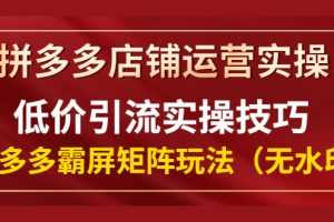 （1342期）拼多多店铺运营实操，低价引流实操技巧，拼多多霸屏矩阵玩法（无水印）
