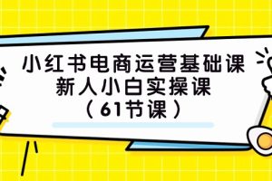 小红书电商运营基础课，新人小白实操课（61节课）