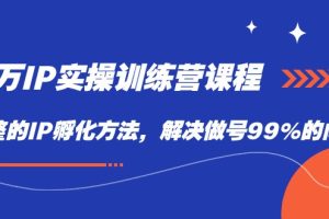 百万IP实战训练营课程，完整的IP孵化方法，解决做号99%的问题