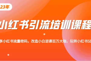 小红书引流培训课程，教你零基础玩转小红书，素人逆袭百万流量大咖！