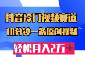 抖音冷门视频赛道，10分钟一条视频，轻松月入2W＋