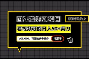 国外撸美刀项目，VOLKNO看视频就能日入50+美刀，可无脑多号操作