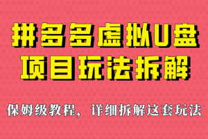 拼多多虚拟U盘项目，保姆级拆解，可多店操作，一天1000左右！