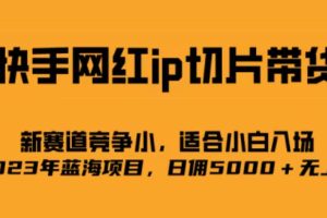 快手网红ip切片新赛道，竞争小，适合小白  2023蓝海项目