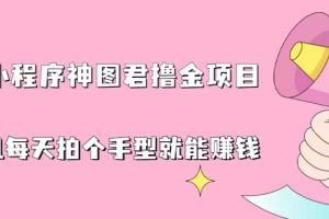 抖音小程序神图君撸金项目，用手机每天拍个手型挂载一下小程序就能赚钱