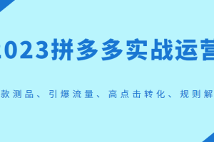 2023拼多多实战运营，选款测品、引爆流量、高点击转化、规则解析