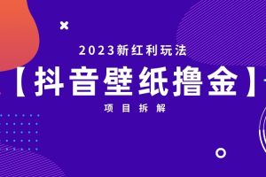 2023新红利玩法，抖音壁纸撸金项目拆解