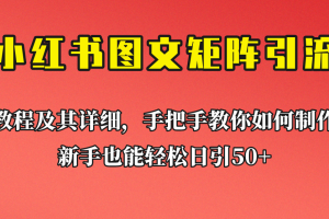 新手也能日引50+的小红书图文矩阵引流法！超详细理论+实操的课程助你流量源源不断