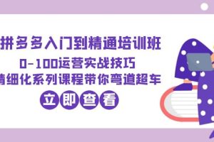 2023拼多多入门到精通培训班：0-100运营实战技巧 精细化系列课带你弯道超车