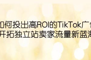 如何投出高ROI·TikTok广告，开拓独立站卖家流量新蓝海