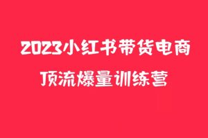 小红书电商爆量训练营，月入3W+！可复制的独家养生花茶系列玩法