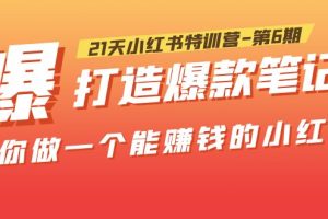 21天小红书特训营-第6期，打造爆款笔记，带你做一个能赚钱的小红书