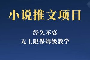 经久不衰的小说推文项目，单号月5-8k，保姆级教程，纯小白都能操作