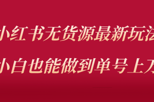 小红书无货源最新螺旋起号玩法，电商小白也能做到单号上万（价值3980元）