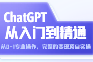 ChatGPT从入门到精通 从0-1专业操作，完整的变现项目实操（视频+文档）