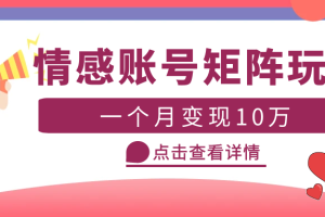 云天情感账号矩阵项目，简单操作，月入10万+可放大（教程+素材）